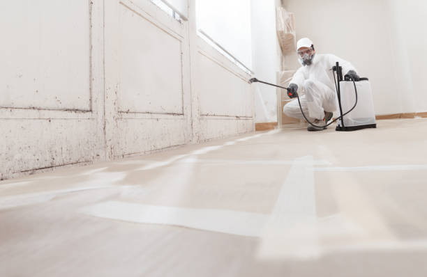 24/7 Emergency Attic Mold Removal experts in Richland, GA